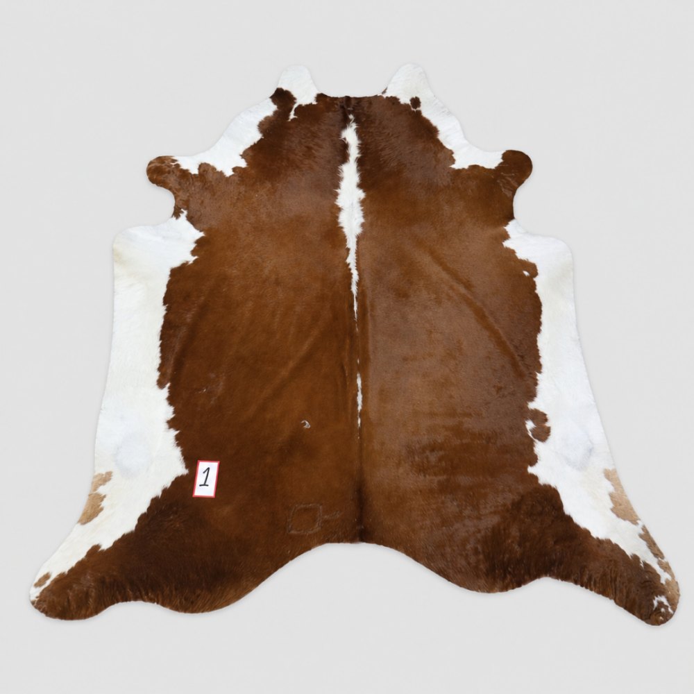 CH 01 - Image 2